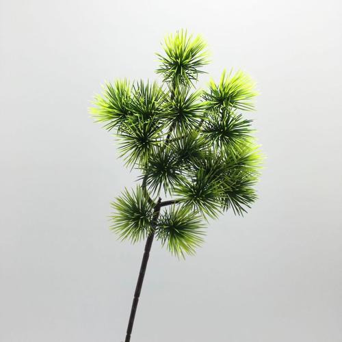 厂家批发 绿植迎客松 美人松崖柏松罗汉松枫叶迎造景工程松针枝干