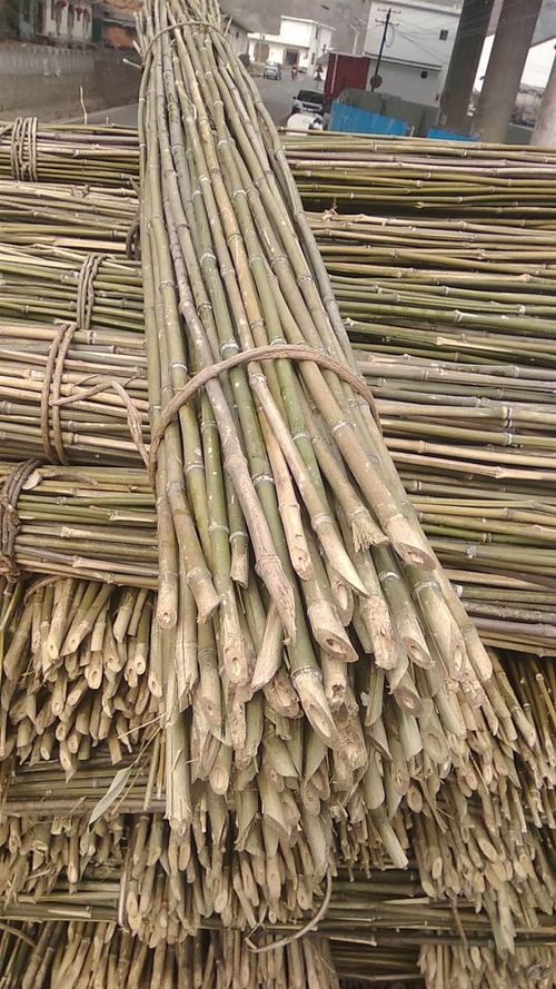 货源地原头各种规格153菜架竿批发25米菜架杆